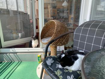 Feli Bild von Feli