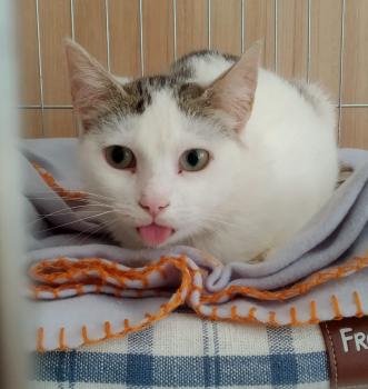 Lola Bild von Lola