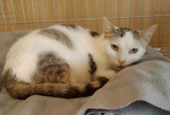 Lola Bild von Lola