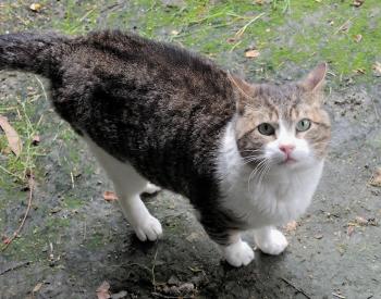 Marlon Bild von Marlon