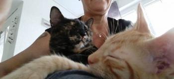 Loony Bild von Loony