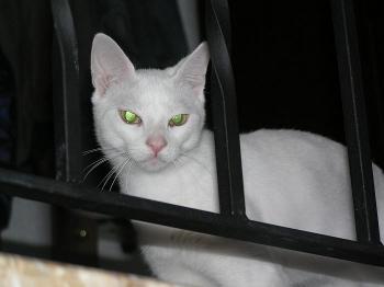 Chiqui Bild von Chiqui