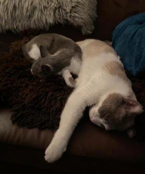 Oskar Bild von Oskar