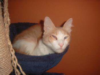Baby Bild von Baby
