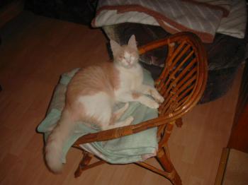 Baby Bild von Baby