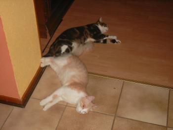 Baby Bild von Baby