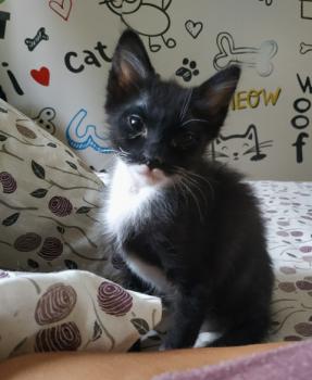 Evita Bild von Evita