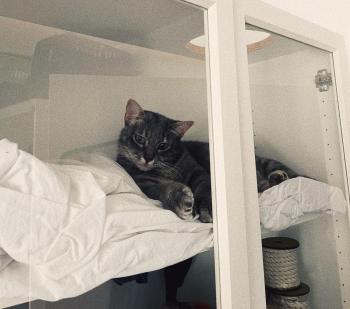 Moli Bild von Moli