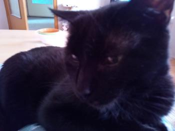 Babush Bild von Babush