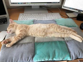 Pin Bild von Pin