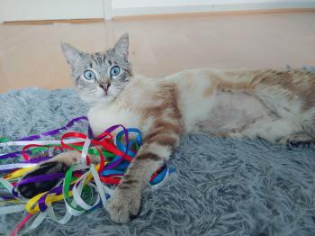 Amelio Bild von Amelio