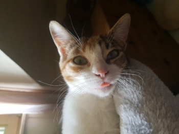 Nancy Bild von Nancy