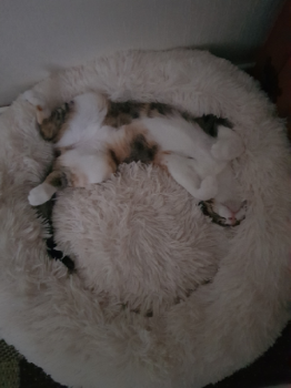 Nancy Bild von Nancy