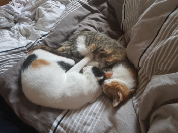 Nancy Bild von Nancy