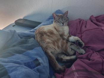 Amelio Bild von Amelio