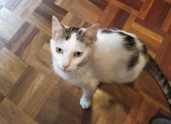 Lola Bild von Lola