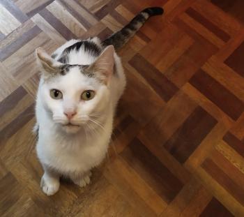 Lola Bild von Lola