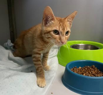 Brioche Bild von Brioche