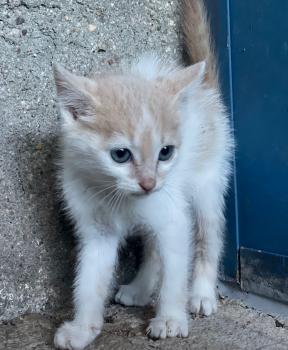 Jean Bild von Jean