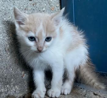 Jean Bild von Jean