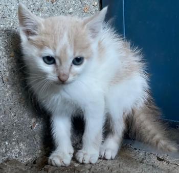 Jean Bild von Jean