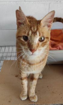 Coco Bild von Coco