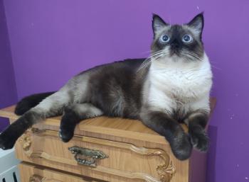 Elda Bild von Elda