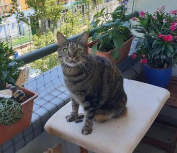 Sara Bild von Sara