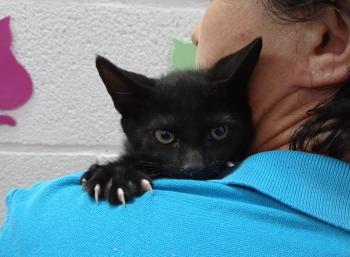 Salem Bild von Salem