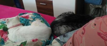 Blanki Bild von Blanki