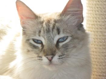 Sam Bild von Samantha