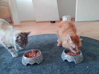 Amelio Bild von Amelio