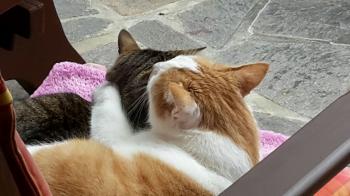 Wyatt Bild von Wyatt