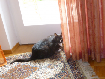 Susi Bild von Susi