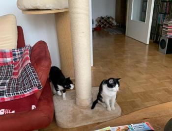 Hilda Bild von Hilda