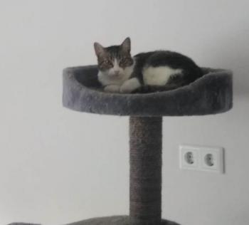 Charlotte Bild von Charlotte