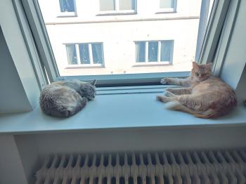 Amelio Bild von Amelio
