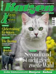 Tierhilfe Miezekatze in Katzen Extra News-Bild