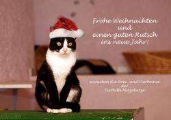 Frohe Weihnachten News-Bild