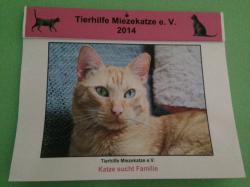 Tierhilfe Miezekatze e.V. Kalender für 2014 sind da!!! News-Bild