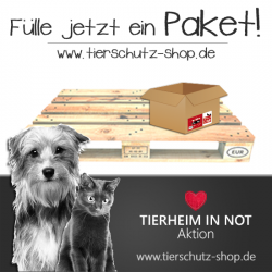BEENDET: Große Tierheim in Not - Aktion vom Tierschutz-Shop News-Bild