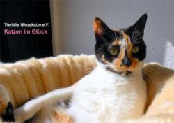 Kalender 2015 News-Bild