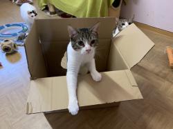 DANKESCHÖN an die Futterspender! News-Bild