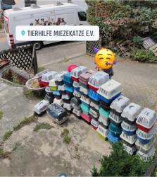 Reise ins Glück - Ankunft von 57 Miezen News-Bild