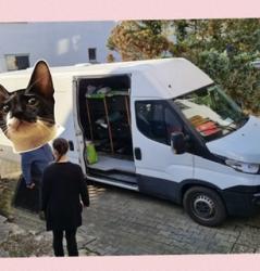 SECHZEHNTER Transport: 38 Miezen angekommen News-Bild