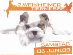 News-Bild