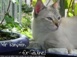 News-Bild