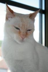 Blanquita sucht eine Einzelstelle!!! News-Bild